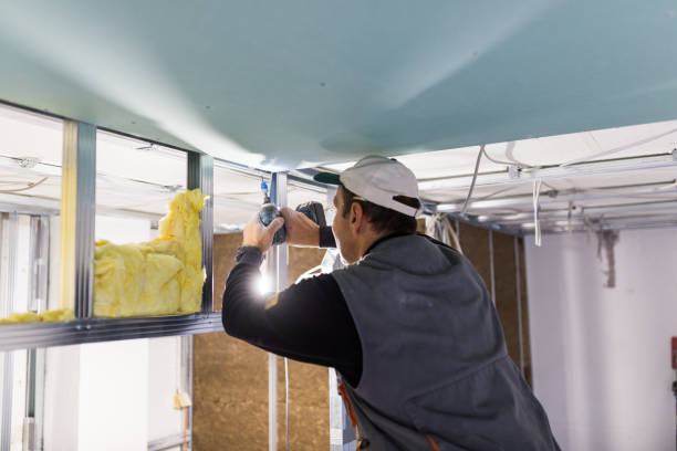 Types of Insulation We Offer in Sunland Park, NM