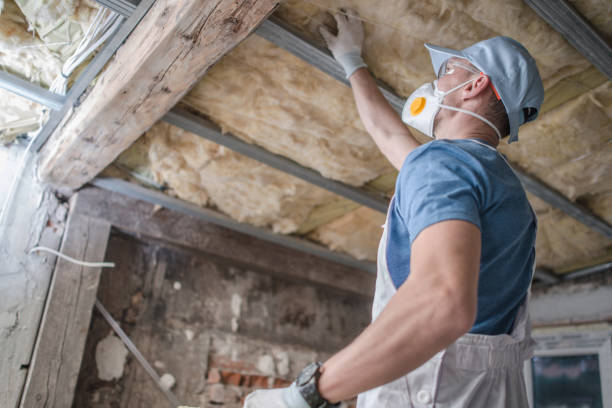 Best Insulation Maintenance and Repair in Sunland Park, NM