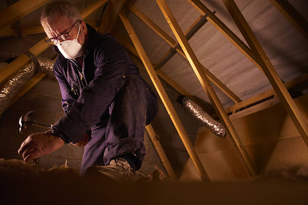 Best Specialized Insulation Services in Sunland Park, NM